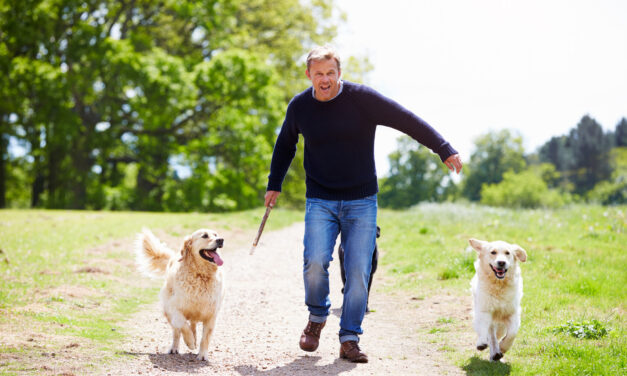 Comment maintenir la santé de votre chien grâce à l’exercice et à l’hygiène