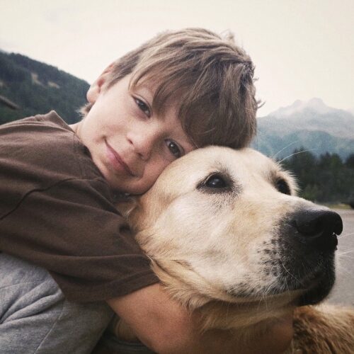Un enfant qui prend la tête d'un chien, race Golden Retriever, dans ses bras